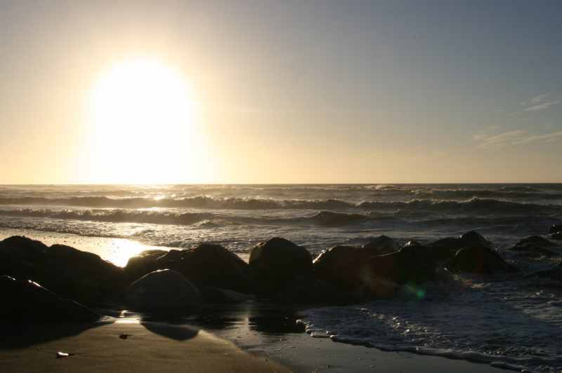 Nieuw-Zeeland 2011 - 1346